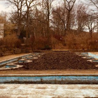 Welche Zukunft hat der Wassergarten in Planitz?