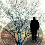 Hospiz in Zwickau Anfrage Hospitz ohne grit Fischer