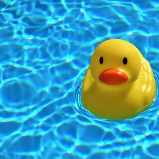 Wann kommt endlich die Ausschreibung für das Strandbad Planitz?